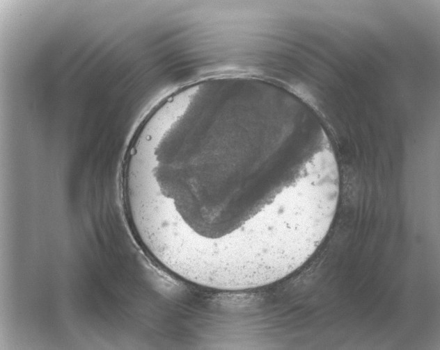 X0000064771474200603031812