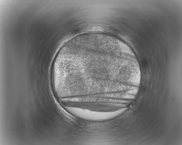 X0000064771475200603031812