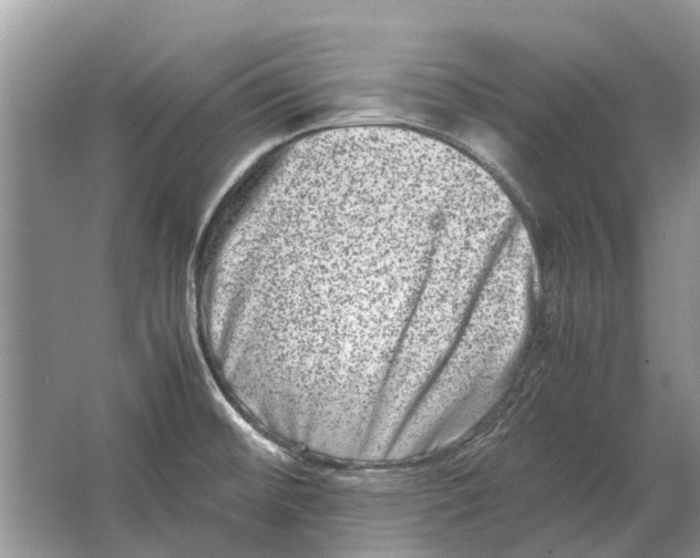 X0000064771476200603031812