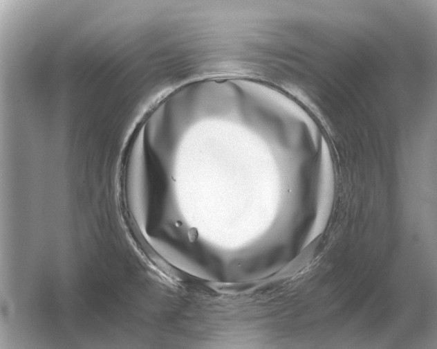 X0000064771477200603031812