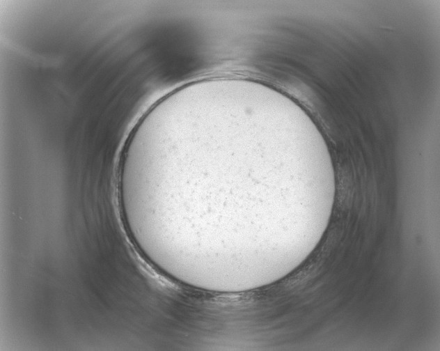 X0000064771478200603031812