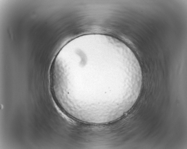 X0000064771479200603031812