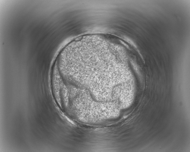 X0000064771480200603031812