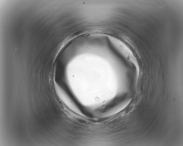 X0000064771481200603031812