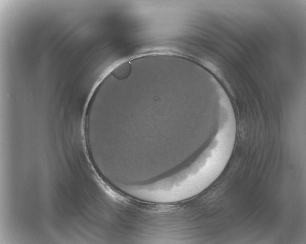 X0000064771482200603031812