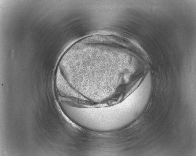 X0000064771484200603031812