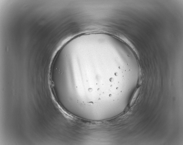 X0000064771485200603031812