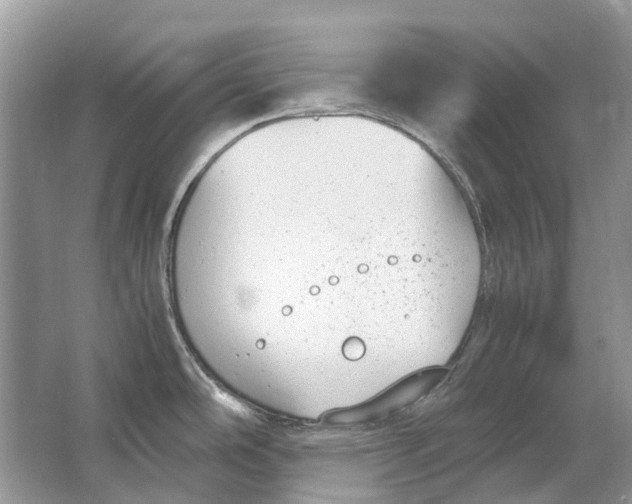 X0000064771486200603031812