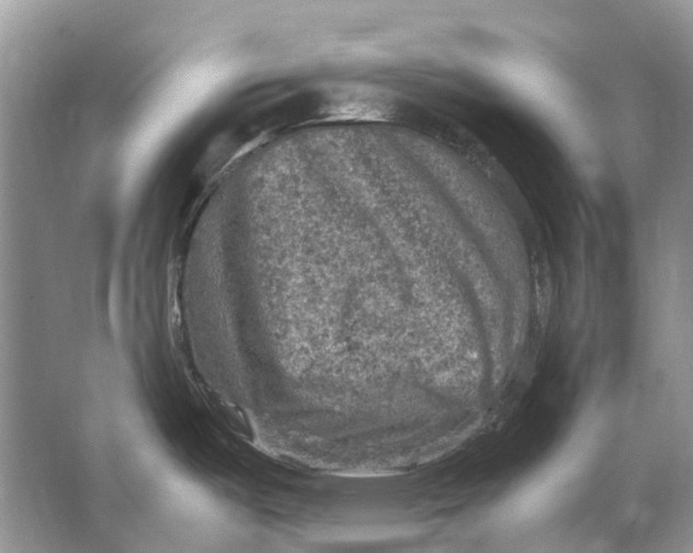 X0000064771487200603031812