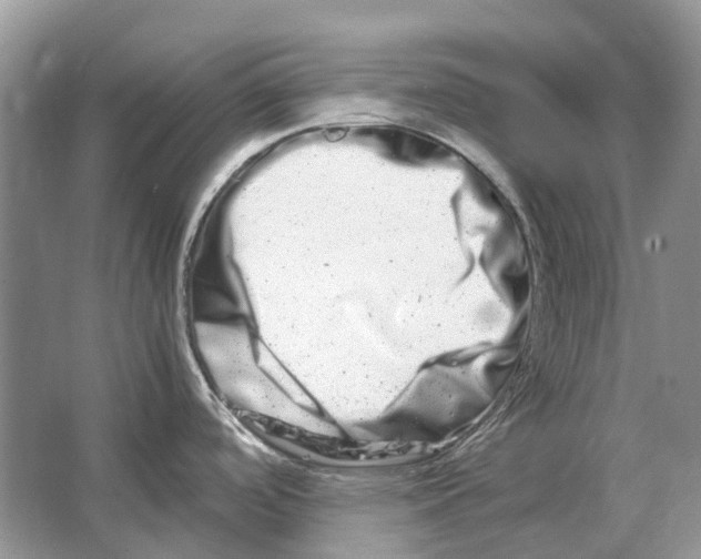 X0000064771488200603031812