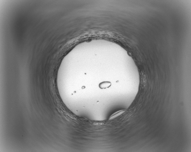 X0000064771489200603031811