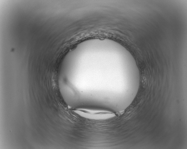 X0000064771490200603031811