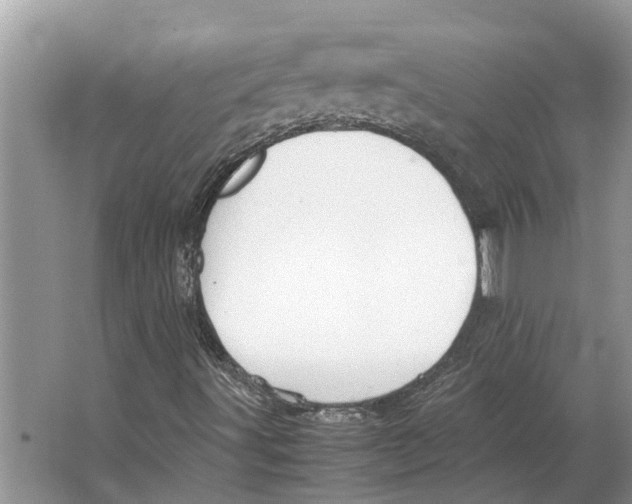 X0000064771491200603031811