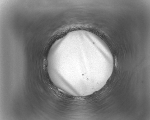 X0000064771492200603031811