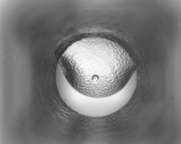 X0000064771493200603031811