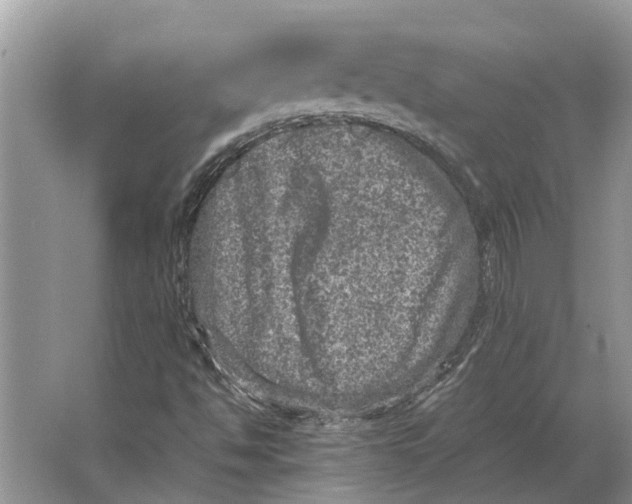 X0000064771494200603031811