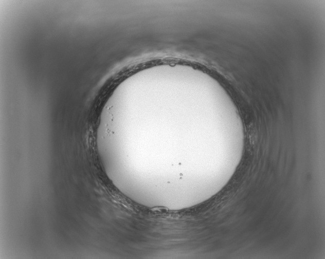 X0000064771495200603031811