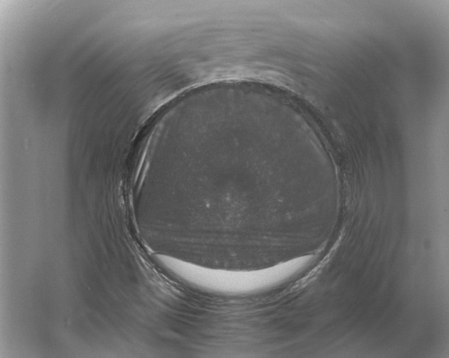 X0000064771497200603031811