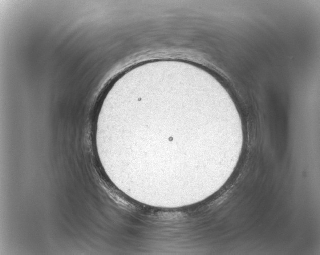 X0000064771498200603031811