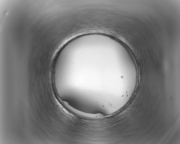 X0000064771500200603031811