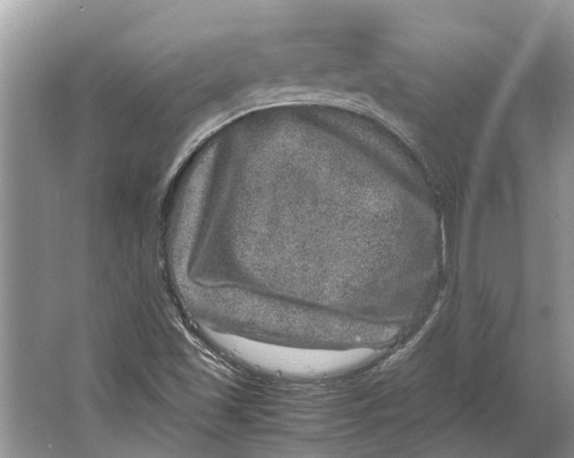 X0000064771501200603031811