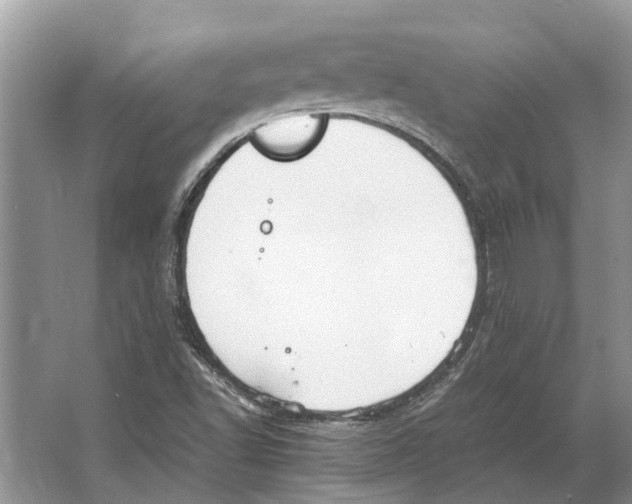 X0000064771502200603031812