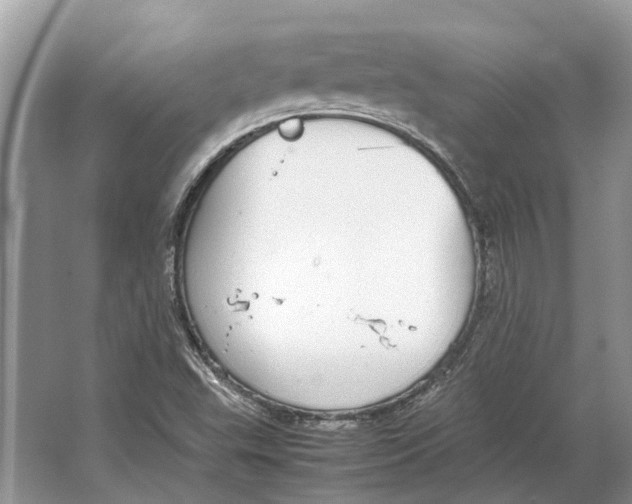 X0000064771503200603031812