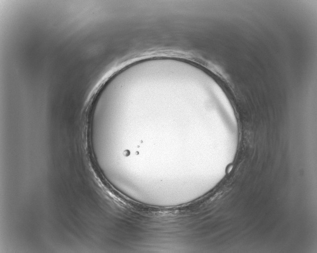 X0000064771504200603031812