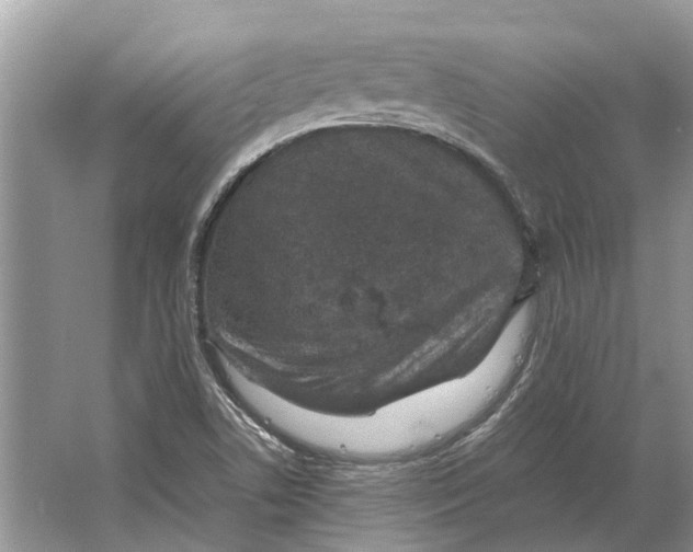 X0000064771506200603031812