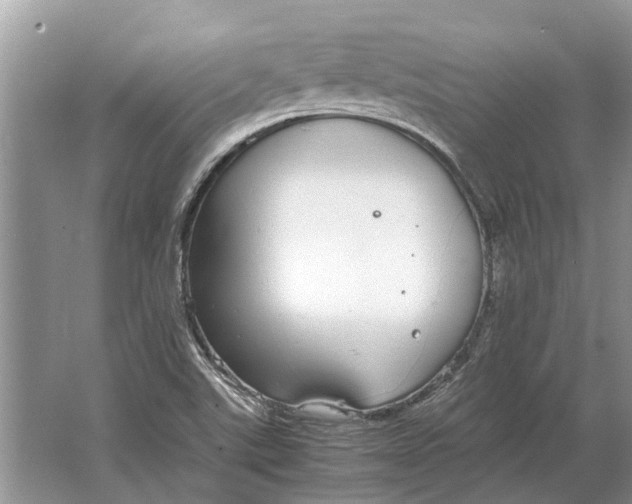 X0000064771507200603031812