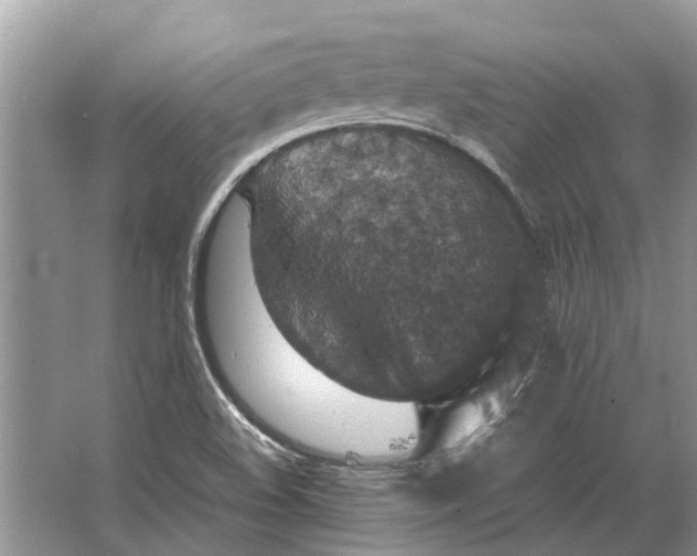 X0000064771508200603031812