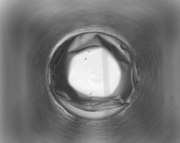 X0000064771510200603031812