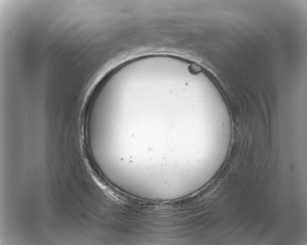 X0000064771511200603031812