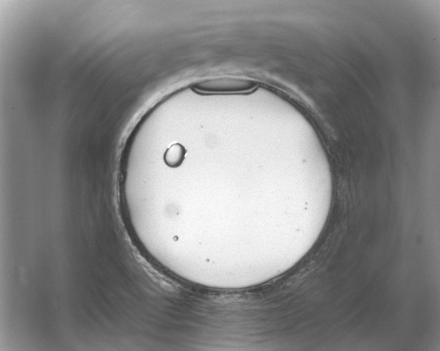 X0000064771512200603031812