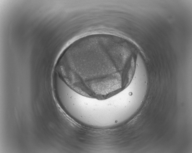 X0000064771514200603031812