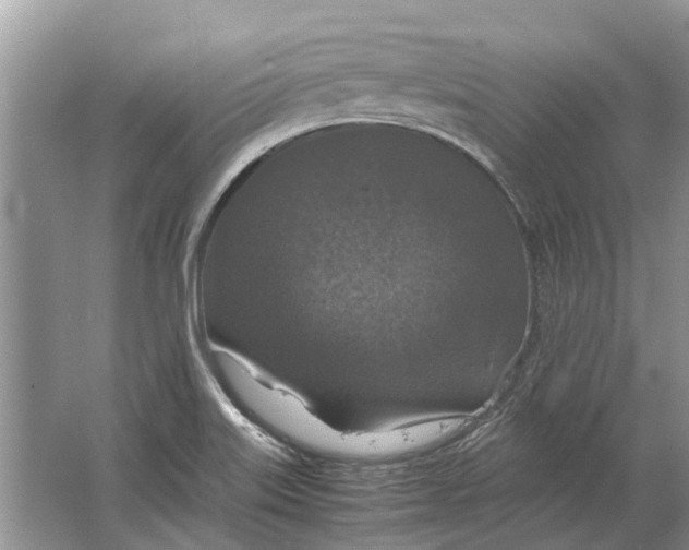 X0000064771515200603031812