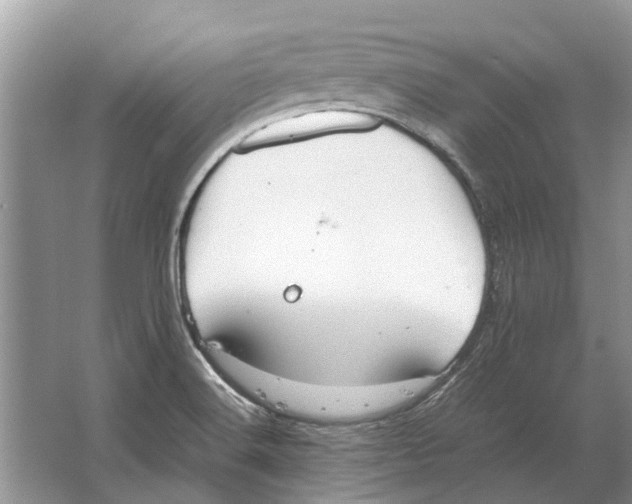 X0000064771516200603031812