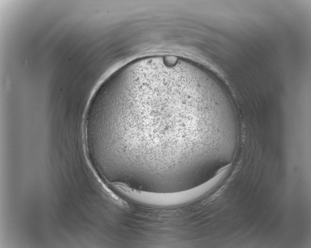 X0000064771517200603031812