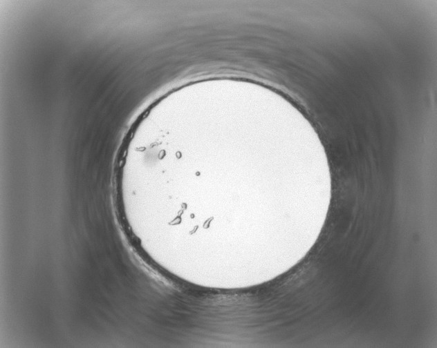 X0000064771518200603031812