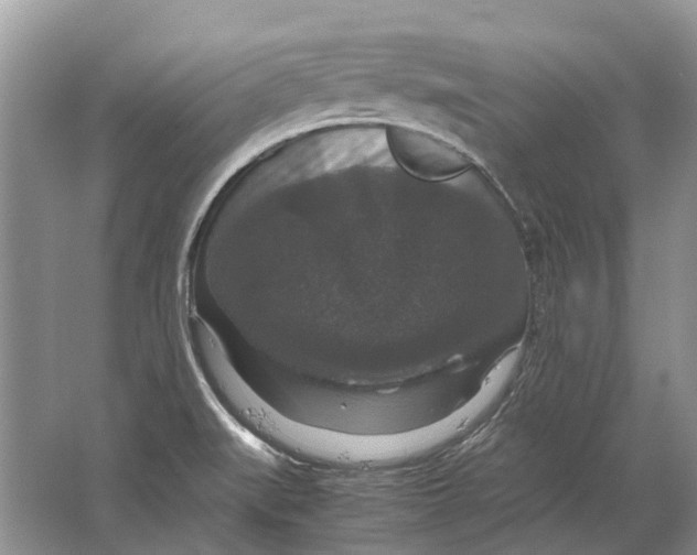 X0000064771519200603031812