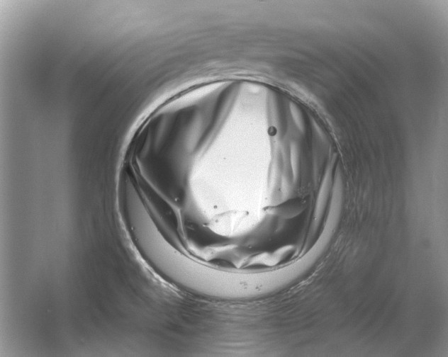 X0000064771520200603031812