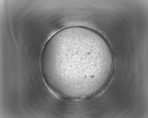 X0000064771521200603031812