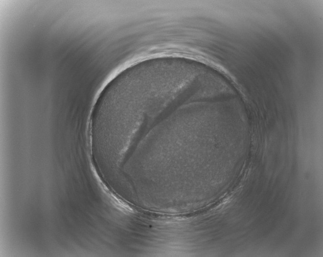 X0000064771522200603031812