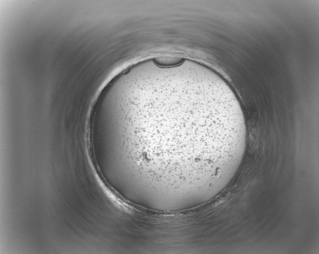 X0000064771523200603031812