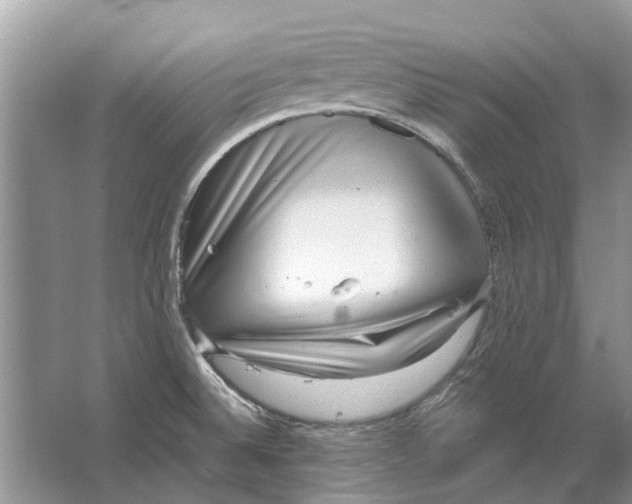 X0000064771524200603031812