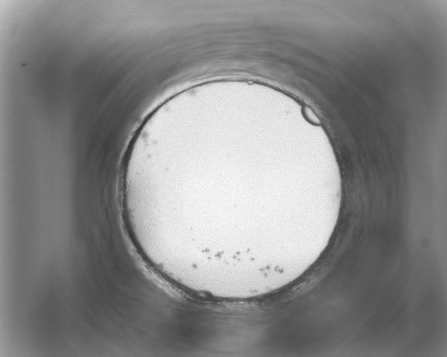 X0000064771526200603031812