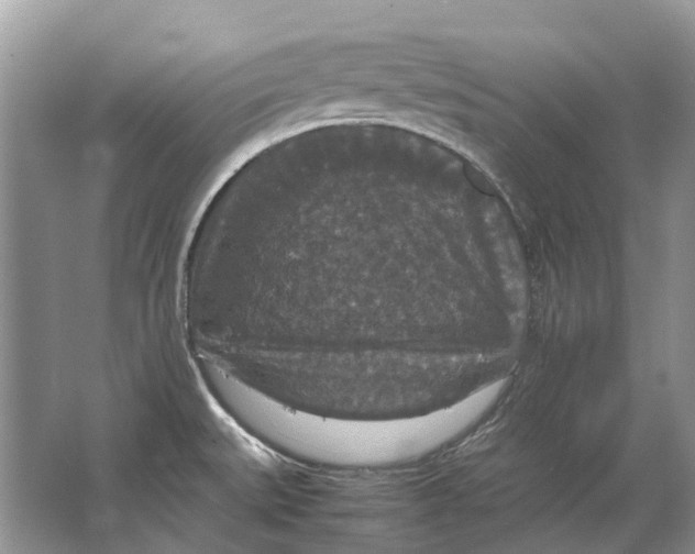 X0000064771527200603031812