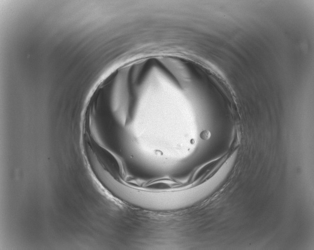 X0000064771528200603031812