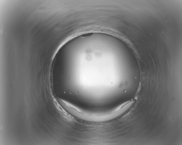 X0000064771530200603031812