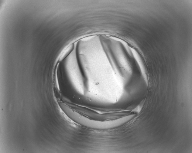 X0000064771532200603031812